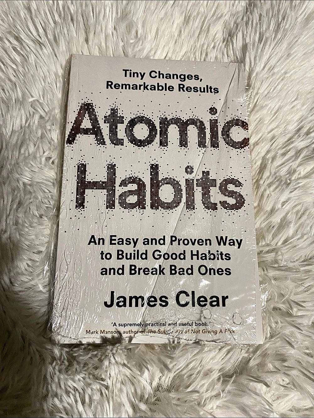 Penguin Atomic Habits Book NWT